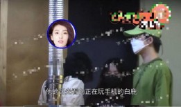 媒体爆料白鹿事件视频下载,揭秘网络传播背后的真相