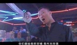 征服孙红雷20全集在线观看,20集剧情高潮迭起，在线观看不容错过