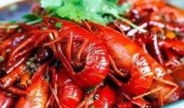 小龙虾转盘爆料怎么做视频