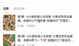 小样爆料视频,一窥幕后真相